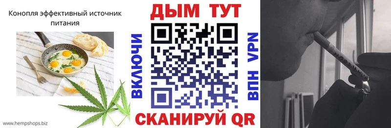 Купить закладки  Севск  Cannafood конопля 
