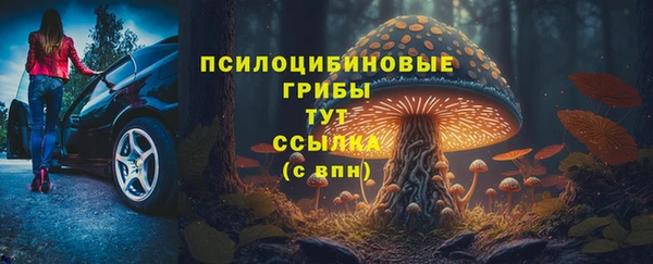 ALPHA PVP Кулебаки