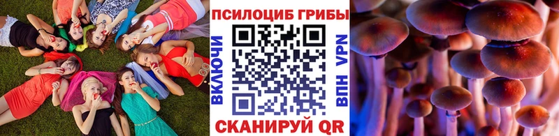 Купить где  Севск  Галлюциногенные грибы мицелий 
